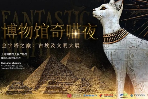 Museum presents cat-friendly nights at Egyptian exhibition