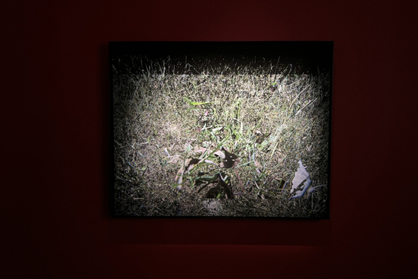 b4e125fb2c2343bafce13adb413113de.jpeg b4e125fb2c2343bafce13adb413113de.jpeg