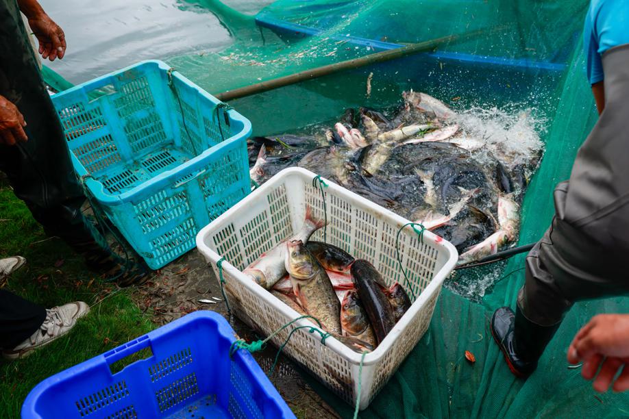 Shanghai Ocean University expands intl fishery cooperation-2.jpeg