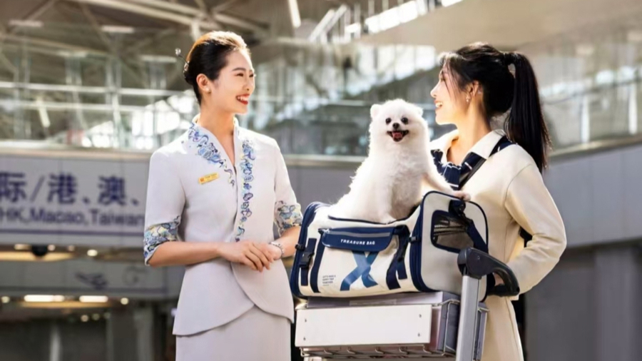 Hainan Airlines expands pet travel policy.jpg