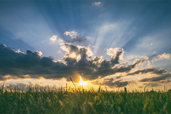 Weather.jpg Weather.jpg