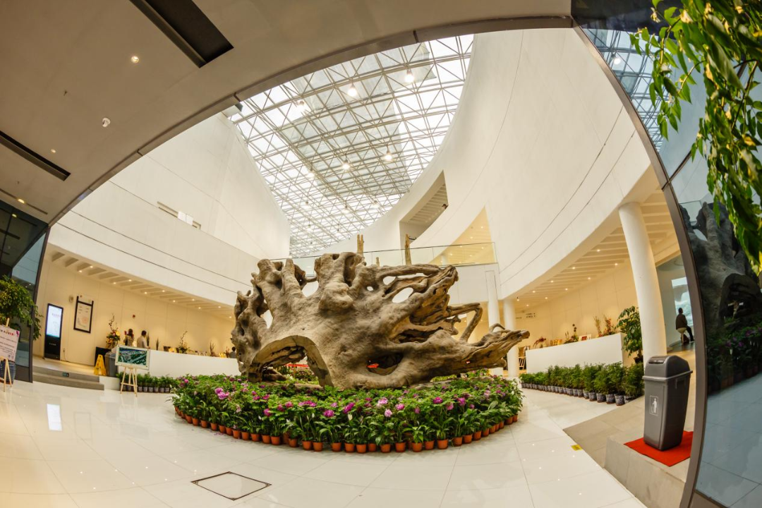 Wood Museum.png