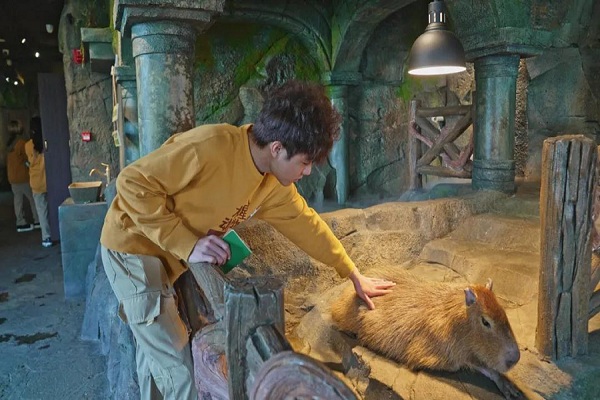 Discover indoor animal kingdoms in Shanghai this winter