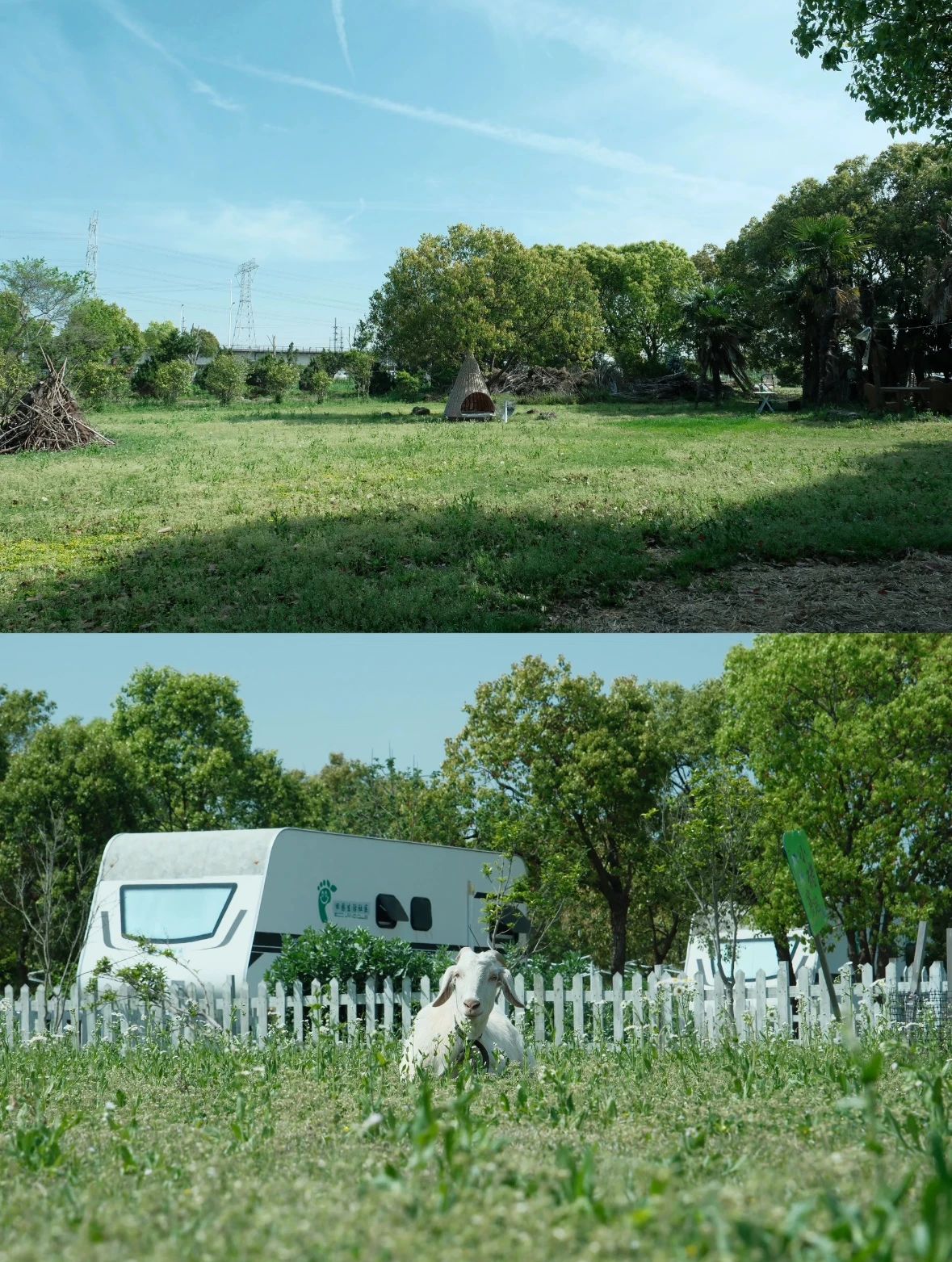 Lexiangu community farm.jpg