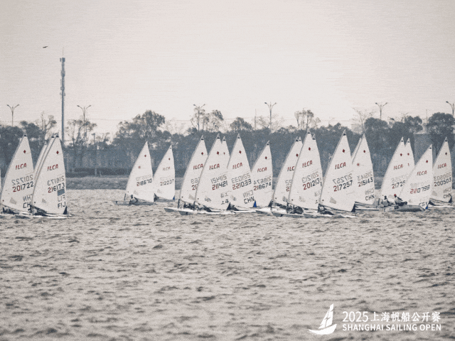 Sailors compete in the 2025 Shanghai Sailing Open.gif