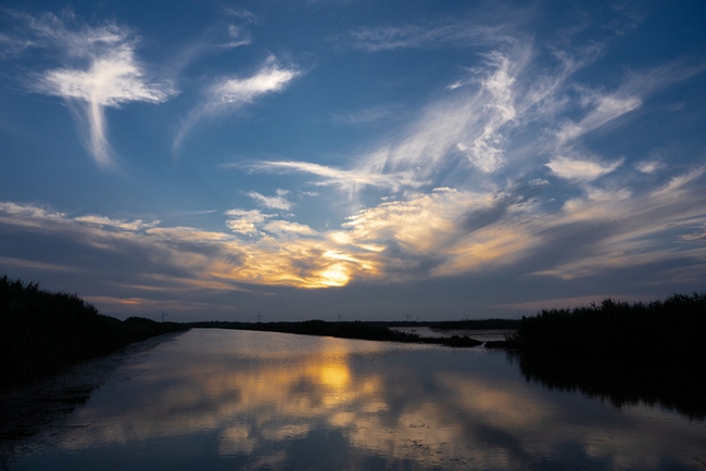 Shanghai Chongming Dongtan added to World Heritage List3.jpg