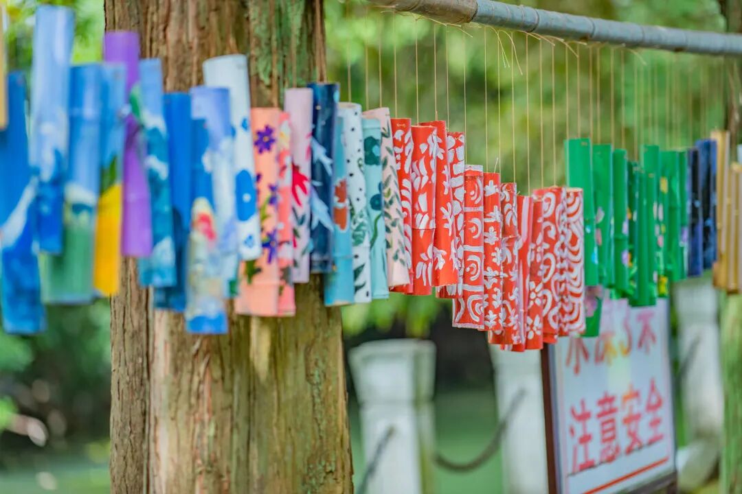 Sheshan Forest Tourism Season.jpg