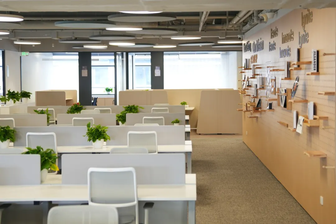 Minhang launches Hongqiao International Youth Innovation Hub-2.png
