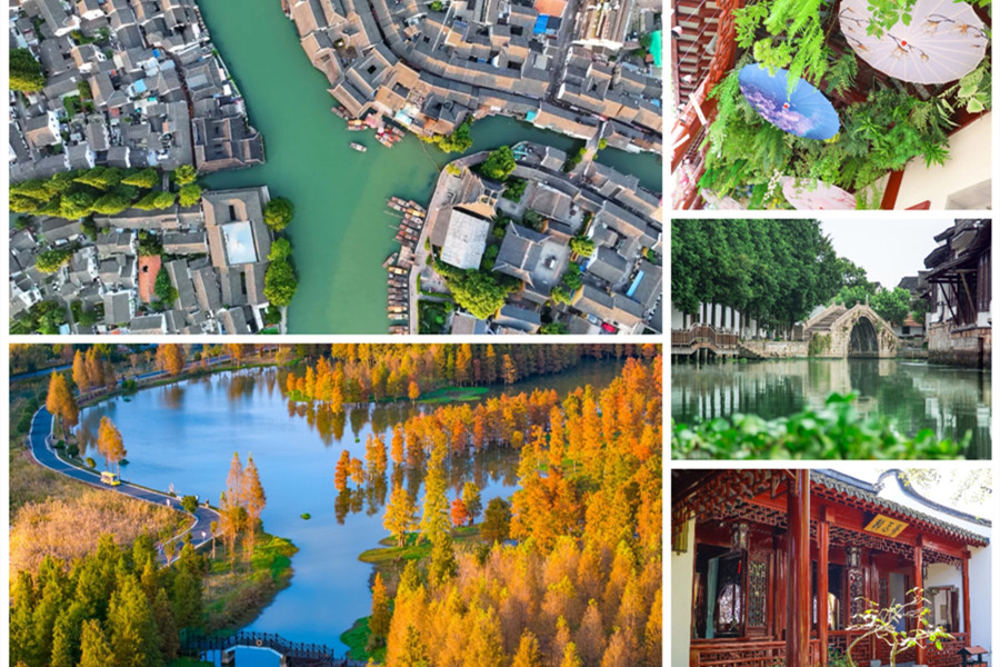 CIIE 2025 | Your guide to culture, tours, and deals