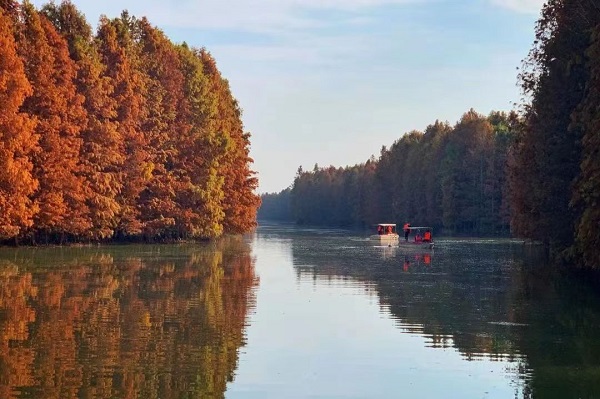 Haiwan National Forest Park.jpg