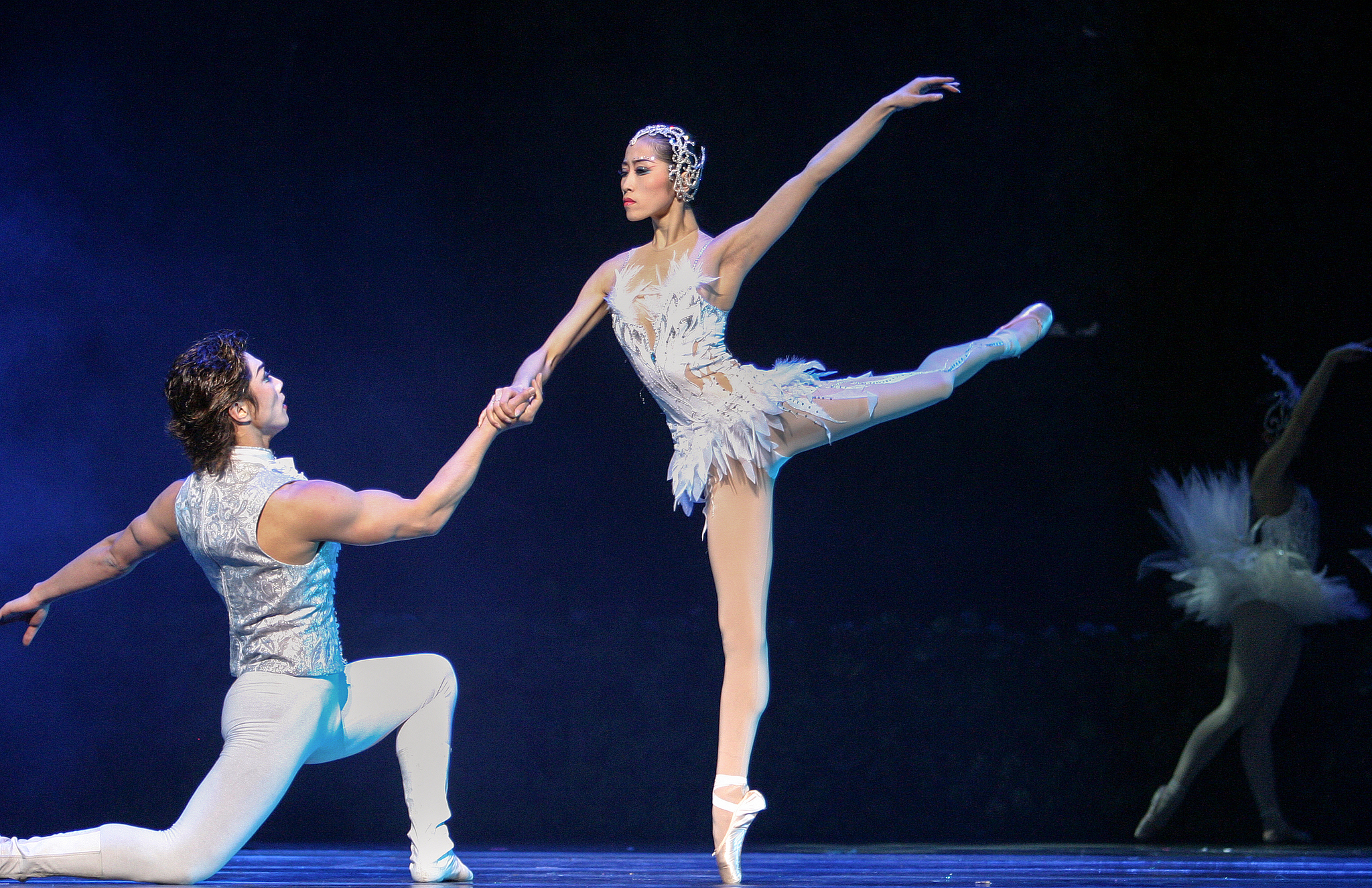 Shows & Exhibitions in November