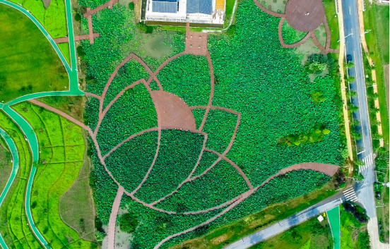 An aerial view of the Lotus Encounter Park.png