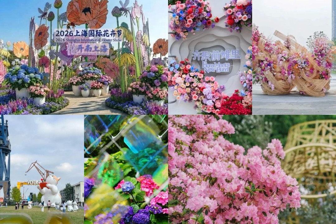May Day flower trail: 10 spots across Shanghai