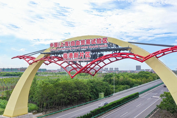 Lin-gang Special Area sees standout trade growth