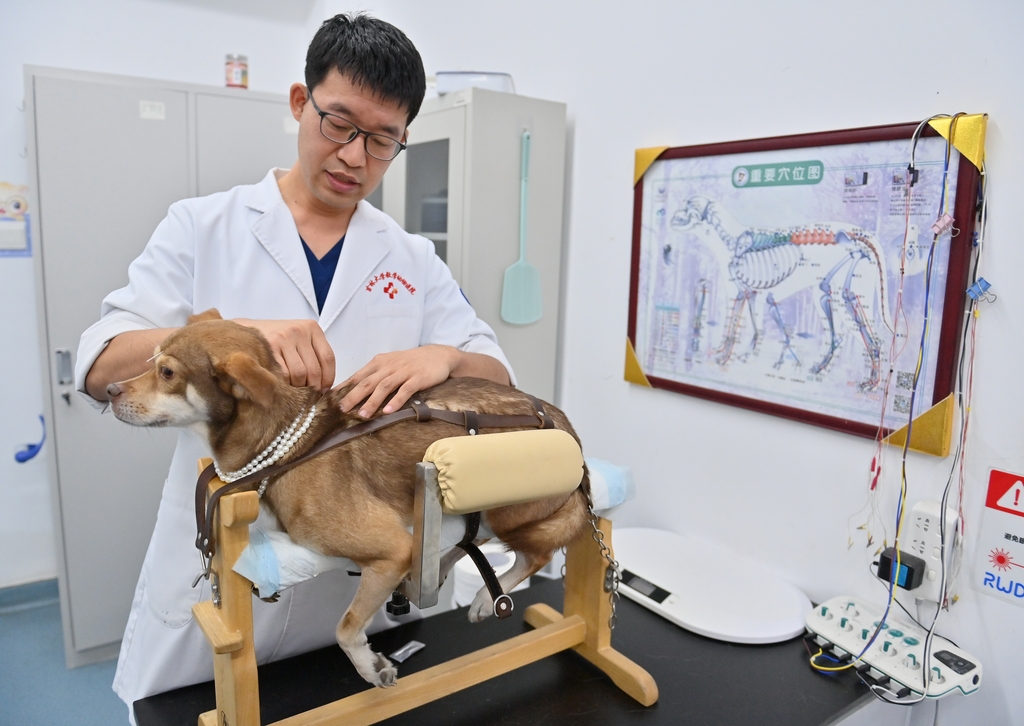 Traditional Chinese medicine expands benefits to furry friends