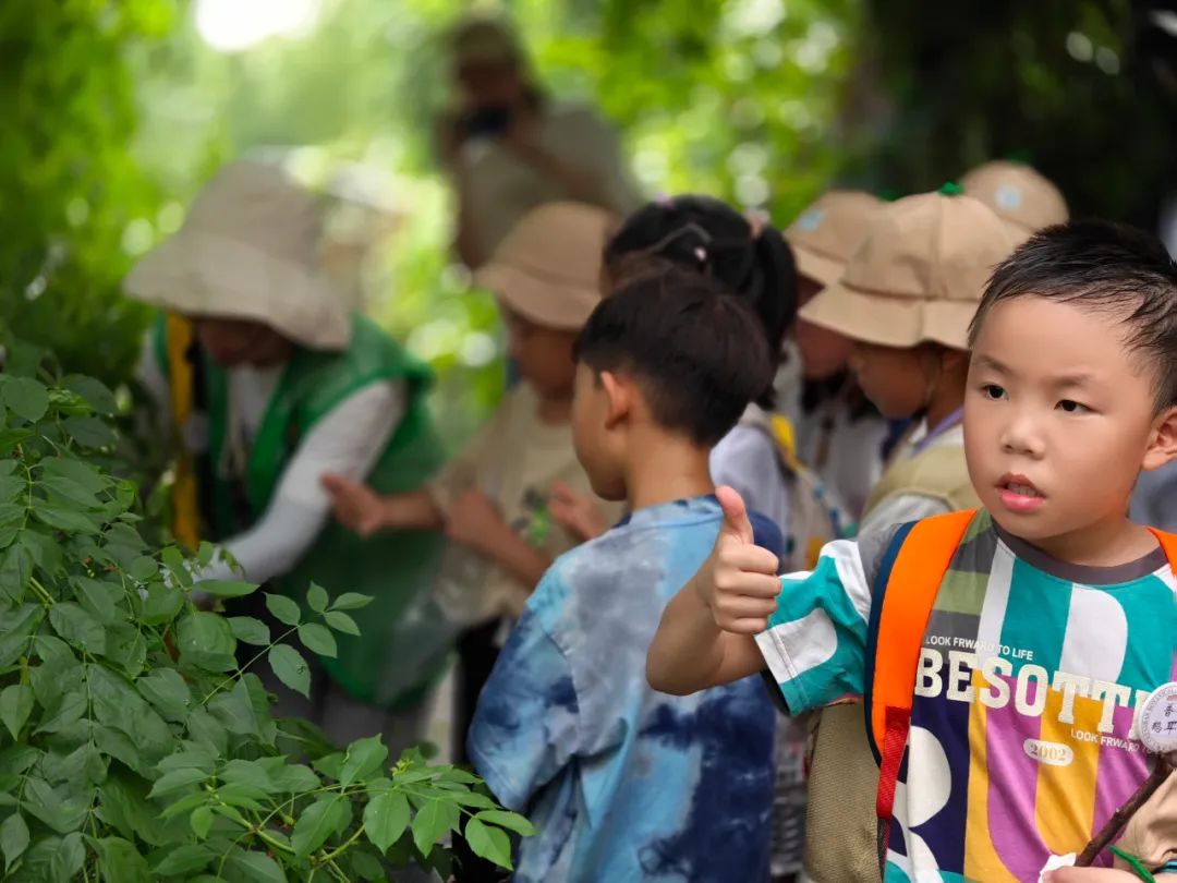 Chenshan Botanical Garden summer camp2.jpg