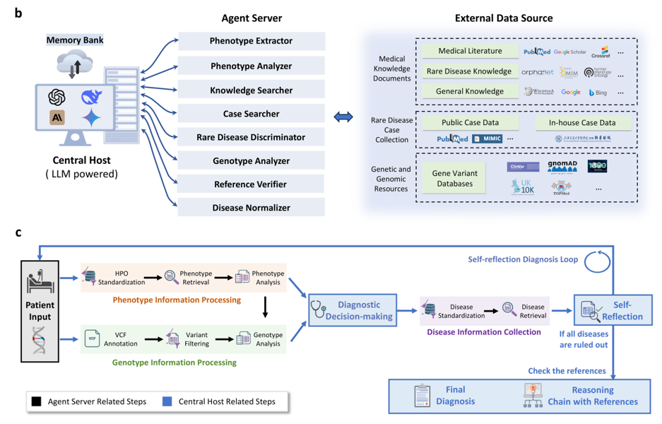 Shanghai scientists develop pioneering AI system for rare disease diagnosis.jpeg