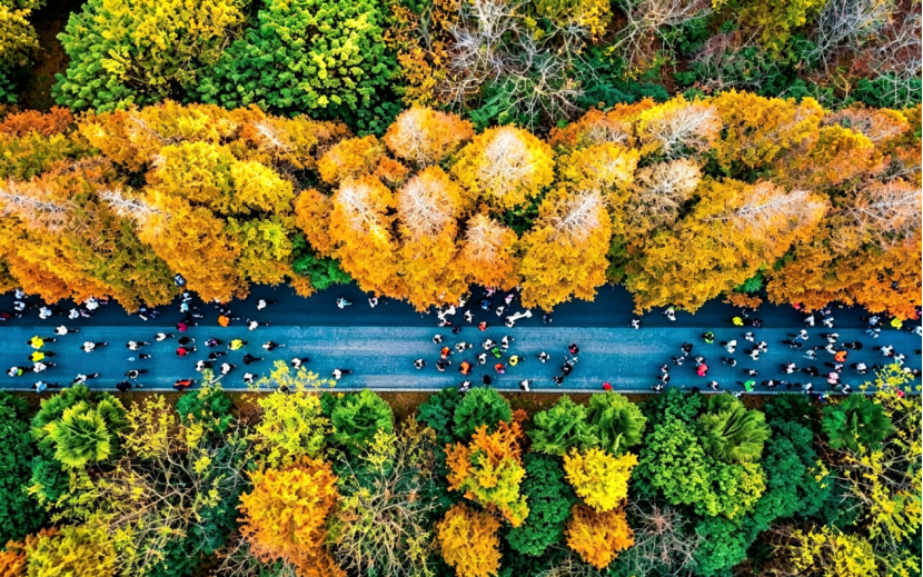 Fengxian Haiwan Forest Half Marathon1.png