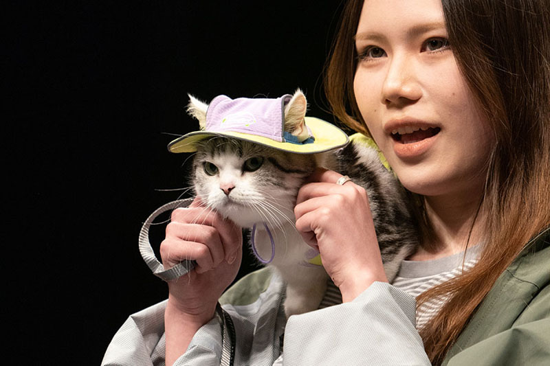 660126a4a31082fc2b6b148d.jpeg 660126a4a31082fc2b6b148d.jpeg