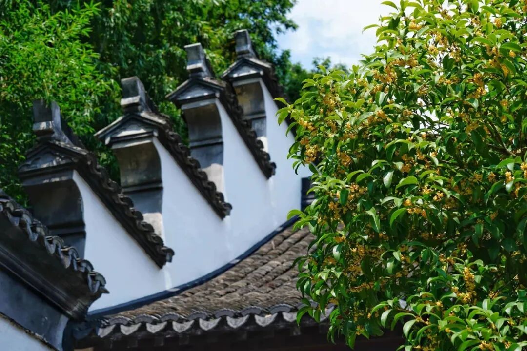 微信图片_2026-10-21_180359_878.jpg