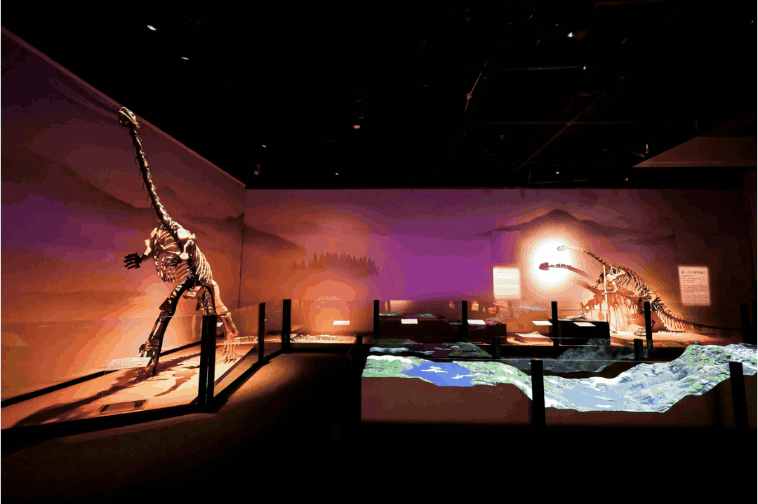 空白模板 (27).gif