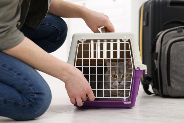 China Eastern Airlines expands pet-friendly service