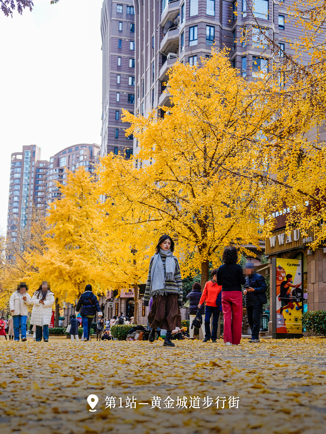 黄金道.jpg
