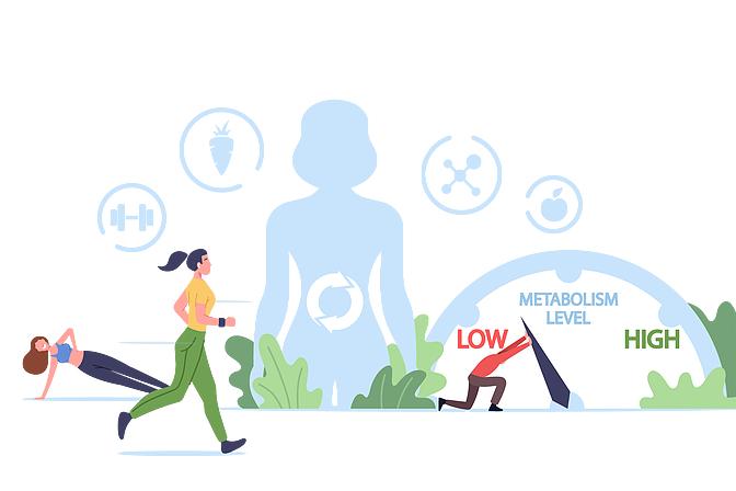 Center launched to deepen SCO health ties