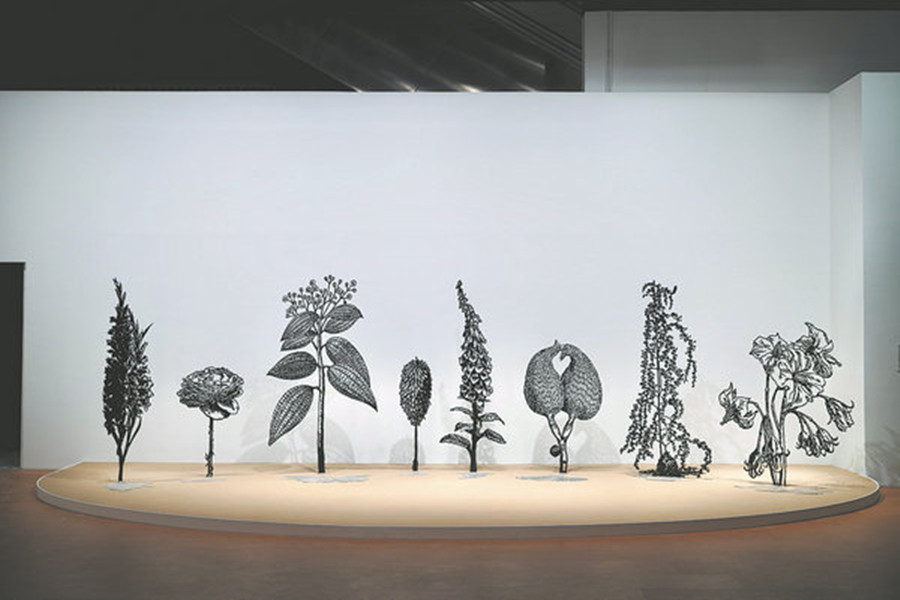 Science meets art to unlock nature
