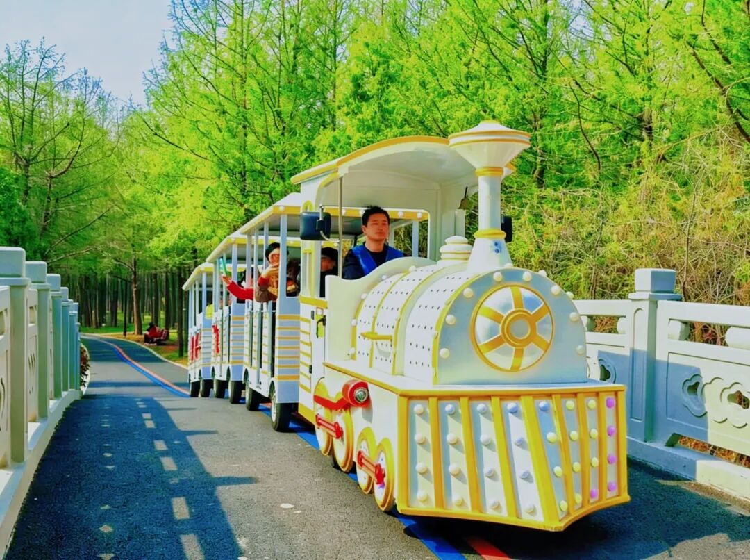 Hengmian Park train.jpg