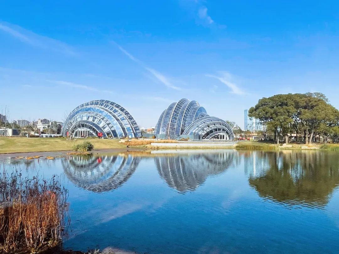 Shanghai Botanical Garden conservatories2.jpg