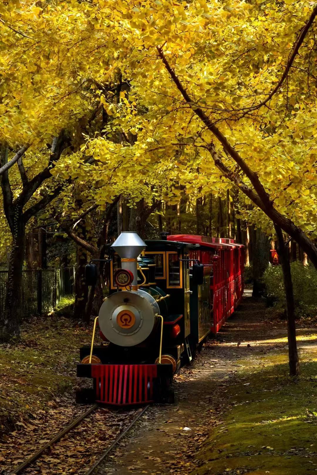 Shanghai Gongqing Forest Park.jpg