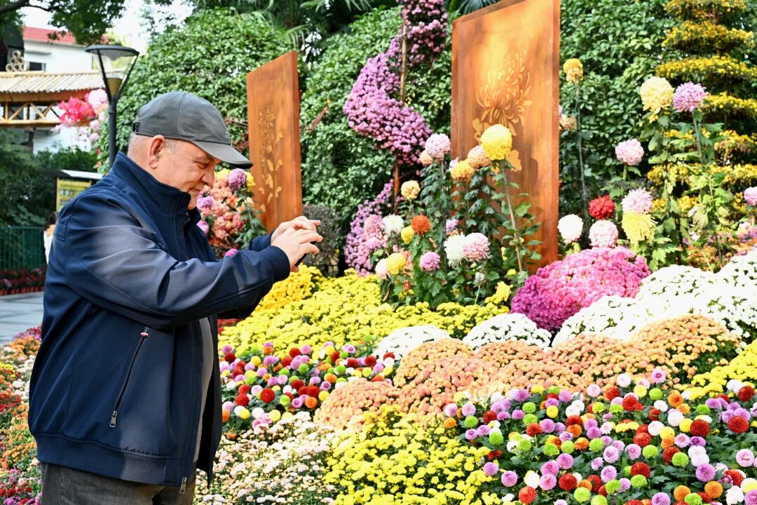 International guests embrace chrysanthemum culture in Putuo