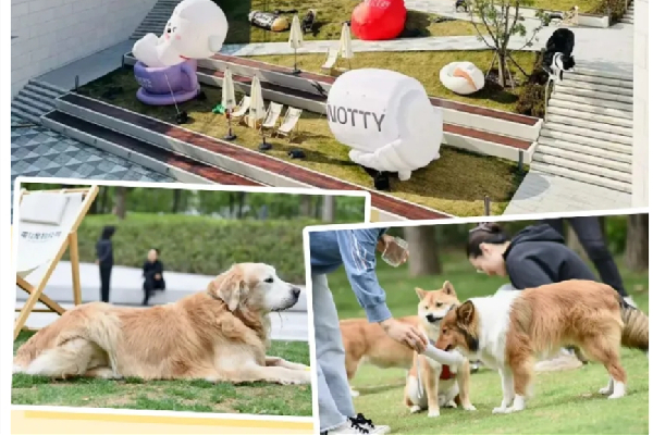 These shopping malls are pet paradises