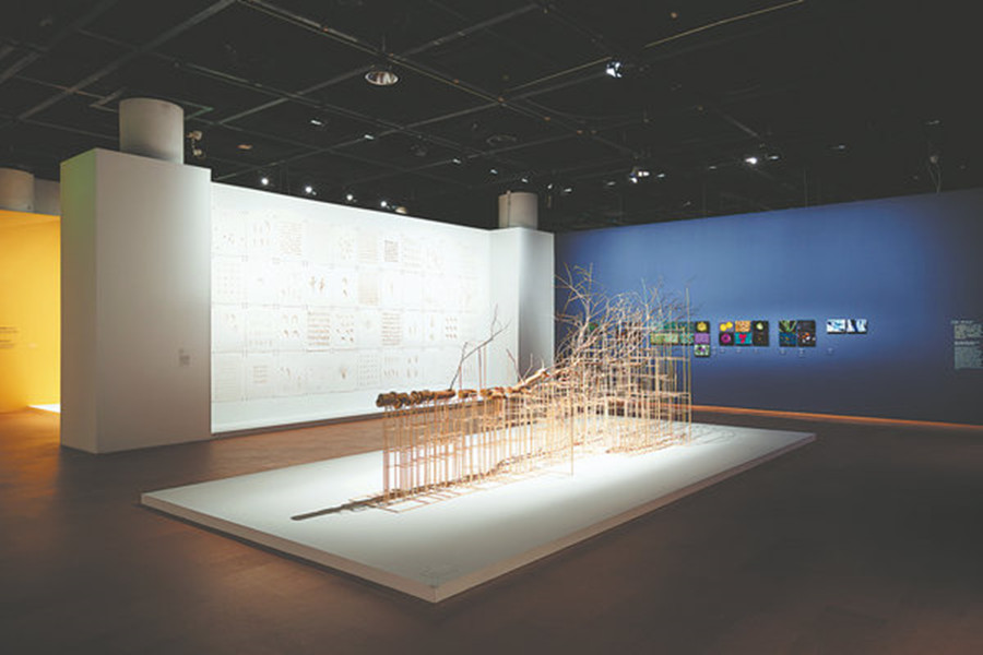 Science Meets Art to Unlock Nature's Hidden Connections