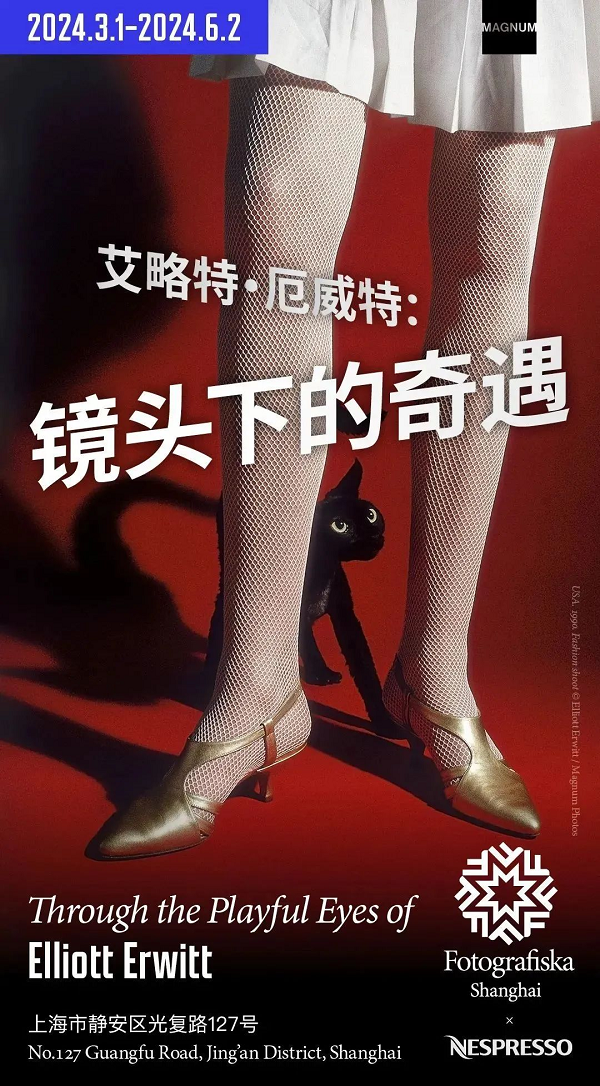 图片13.png 图片13.png