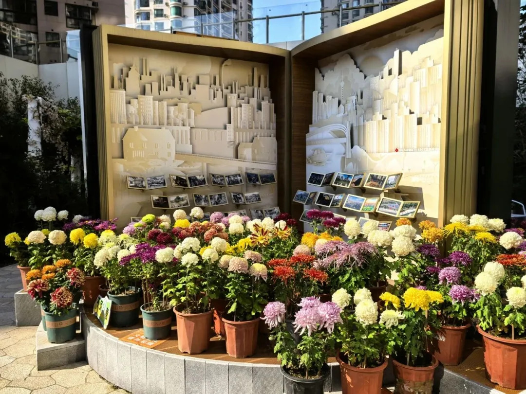 Potted chrysanthemums are artistically arranged in front of a large art installation at the Yichuan Park exhibition.jpg