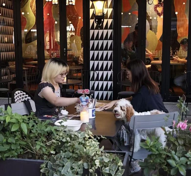 Shanghai revitalizing neighborhoods through business-friendly initiatives.jpeg