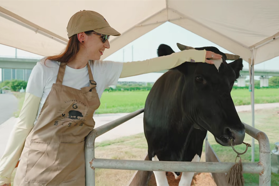 Your day as a Shanghai farmer: Lijiang Ecological Park
