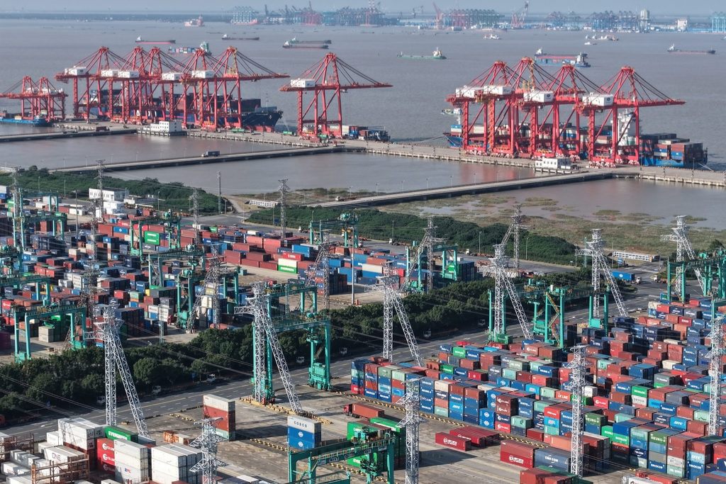 Shanghai Port sees record vessel traffic in January