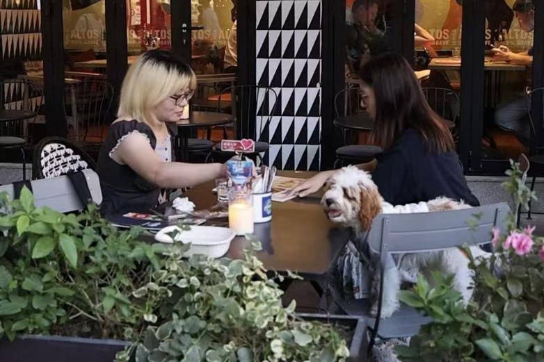 Shanghai revitalizing neighborhoods through business-friendly initiatives