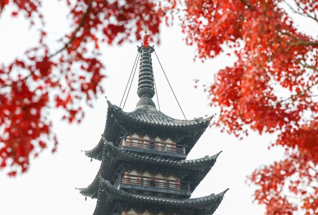 The solemn Fangta Pagoda, framed by maple leaves.jpg