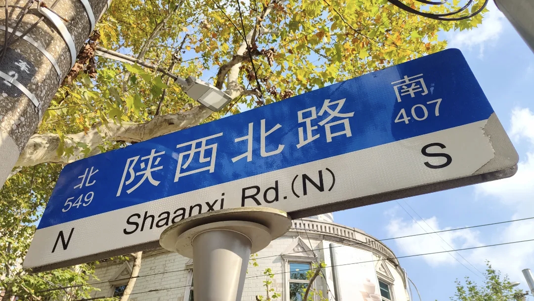 The leaves on North Shaanxi Road take on a golden hue in early winter.jpg