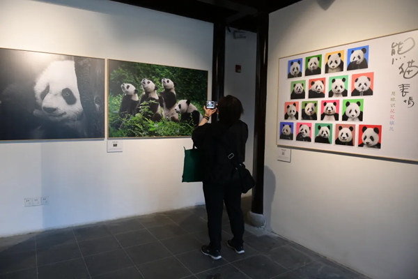 Panda-themed exhibition debuts in Shanghai2.png Panda-themed exhibition debuts in Shanghai2.png