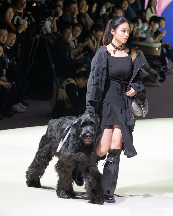 2024 Pet Fashion Week kicks off in Shanghai4.jpeg