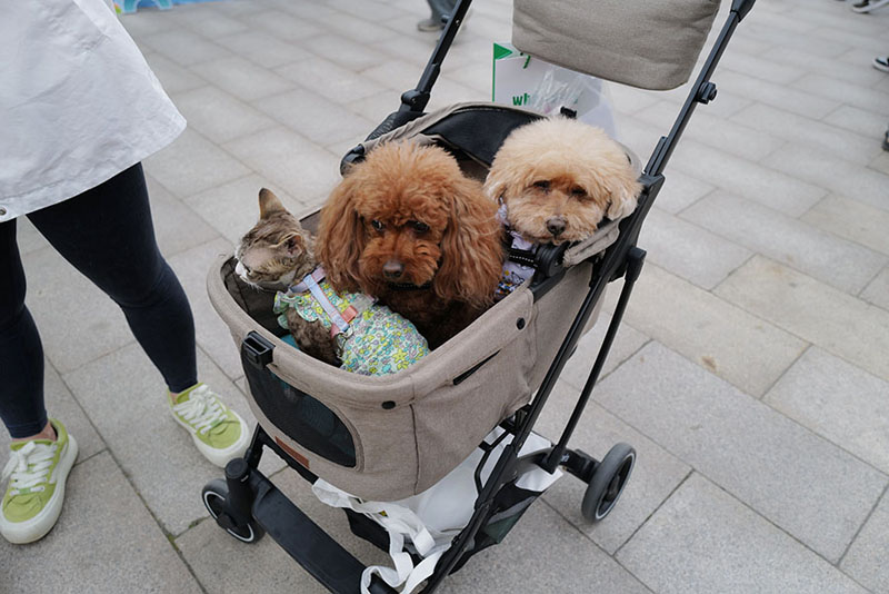 660126a4a31082fc2b6b149b.jpeg 660126a4a31082fc2b6b149b.jpeg