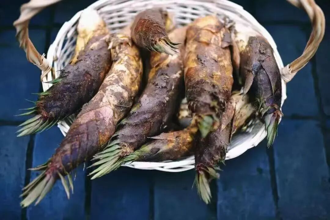 Sheshan Bamboo Shoot Culture Festival.jpg