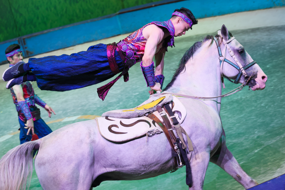 Jing'an district welcomes Chinese New Year with 100+ festive events