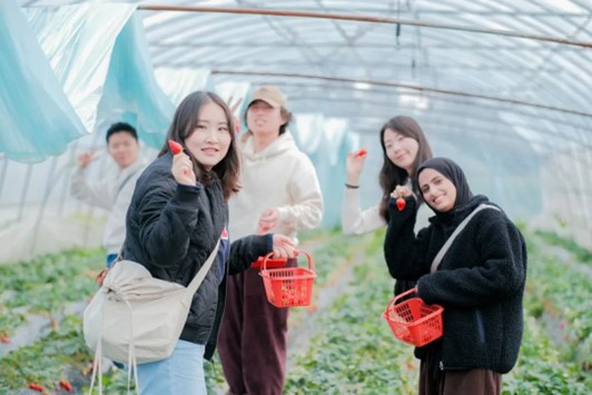 ECNU students participate in strawberry picking event
