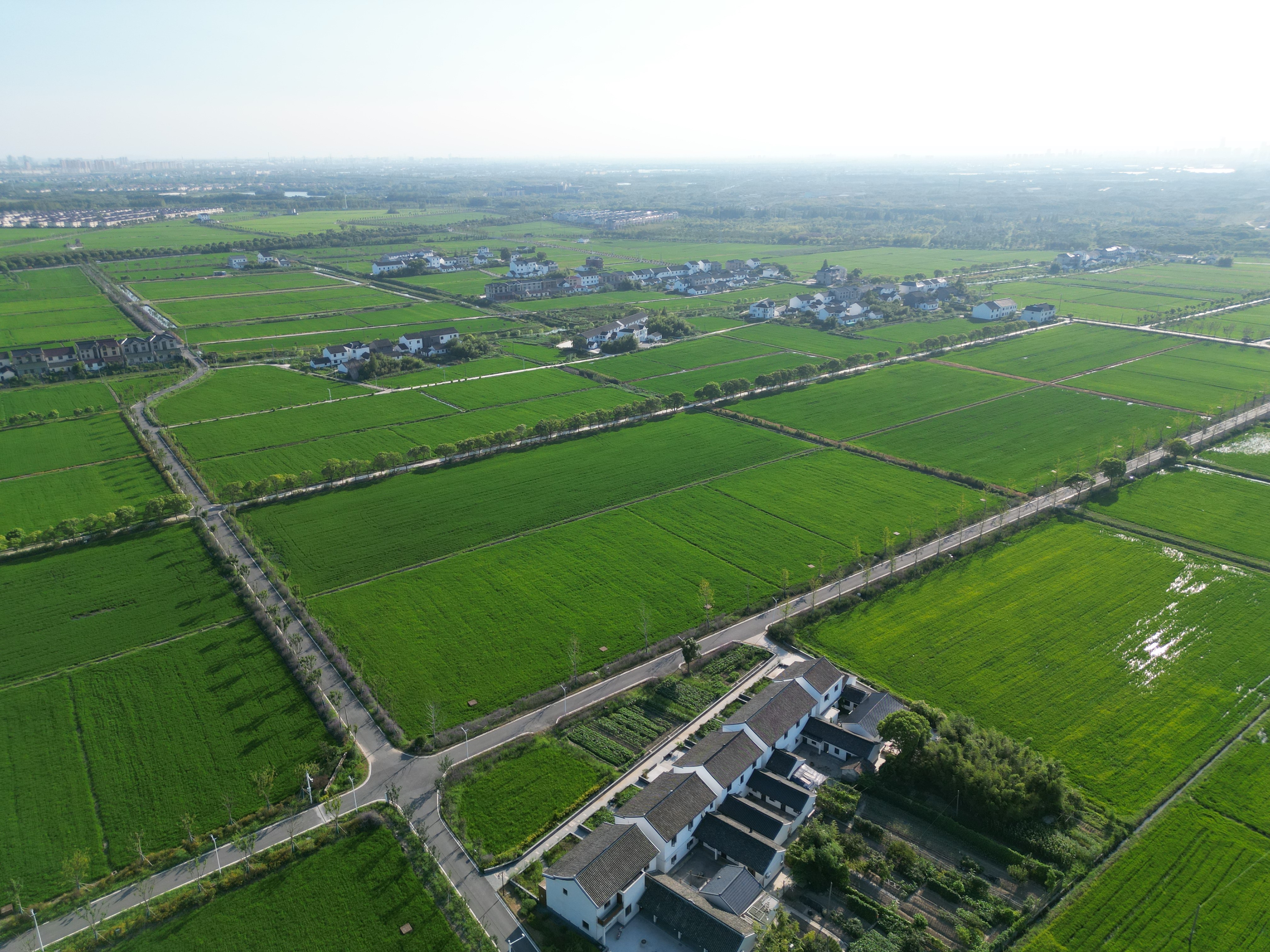 An ariel view of Fengxian